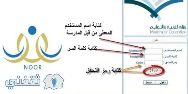 نتائج نظام نور