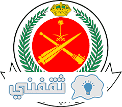 نتائج الدفاع الجوي