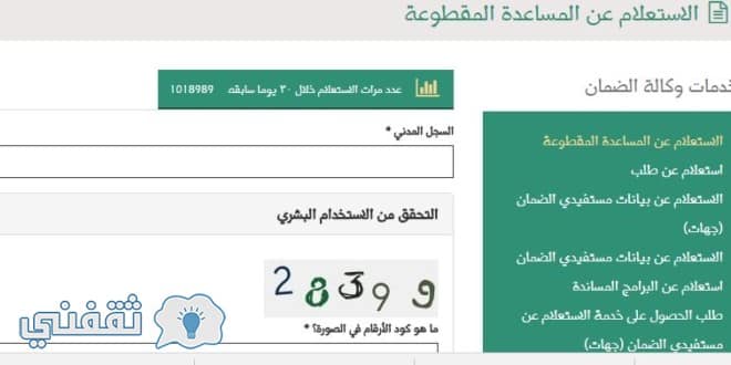 mlsd الضمان