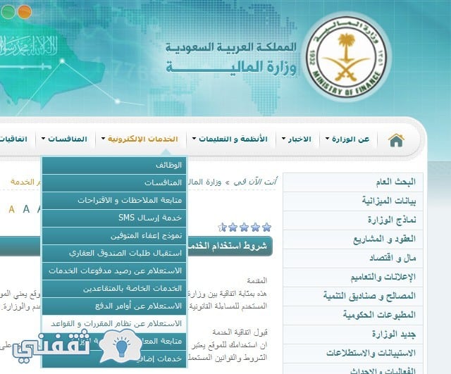 نموذج 21 وزارة المالية
