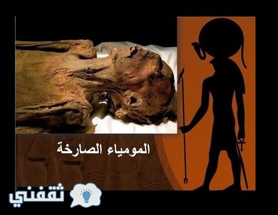 تعرف على صاحب المومياء الصارخة التي عرضها المتحف المصري للجمهور