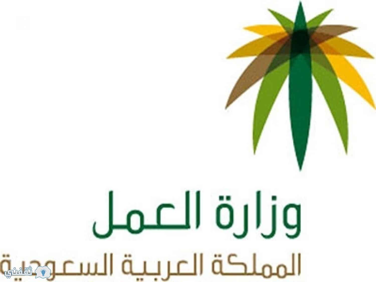 استعلام عن دفع رسوم رخصة العمل برقم الإقامة أو الحدود تعرف على خطوات الاستعلام عن سداد الرسوم ثقفني