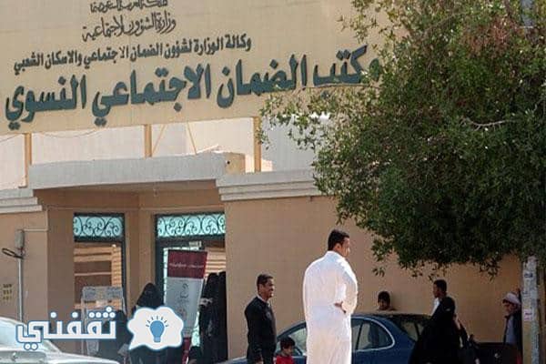 التقديم على المساعدة المقطوعة