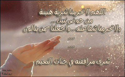 صور عن المولد النبوي الشريف متحركة