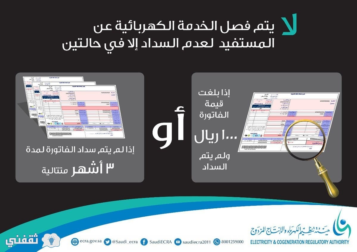هيئة تنظيم الكهرباء والإنتاج المزدوج