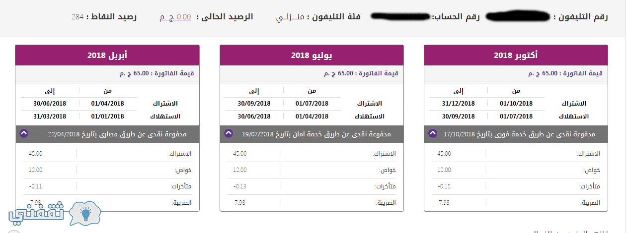 فواتير المصرية للإتصالات