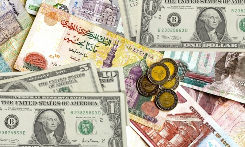 سعر صرف الدولار مقابل الجنيه في السنة المالية الحالية