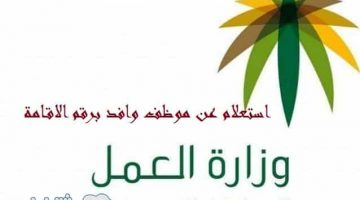 استعلام عن موظف وافد