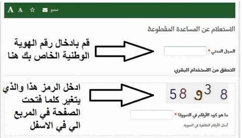 المساعدات المقطوعة والضمان الاجتماعي