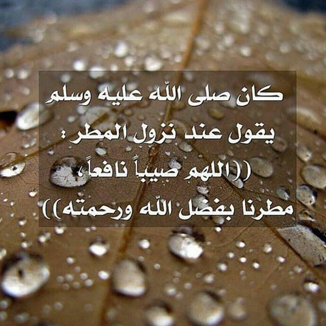 اللهم بعدد قطرات المطر ارحم ابي