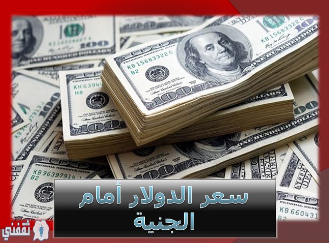 سعر الدولار الأمريكي فى البنوك المصرية الثلاثاء ٢٤ ديسمبر ٢٠١٩