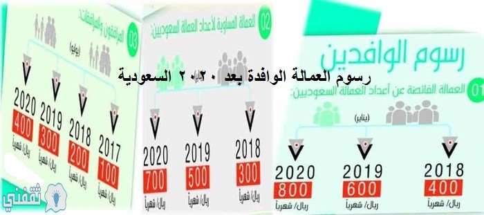 برنامج المقابل المالي للعمالة الوافدة