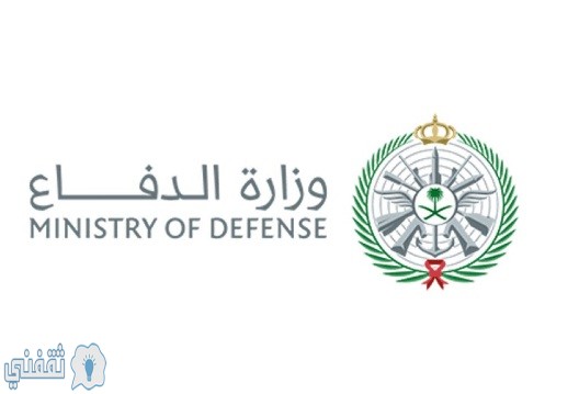 قوات الامن والحماية الخاصة وزارة الدفاع