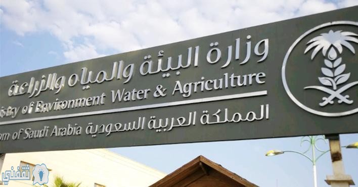رابط دفع فاتورة المياه إلكترونيا بالمملكة عبر موقع وزارة البيئة والمياه الزراعية خلال دقائق ثقفني