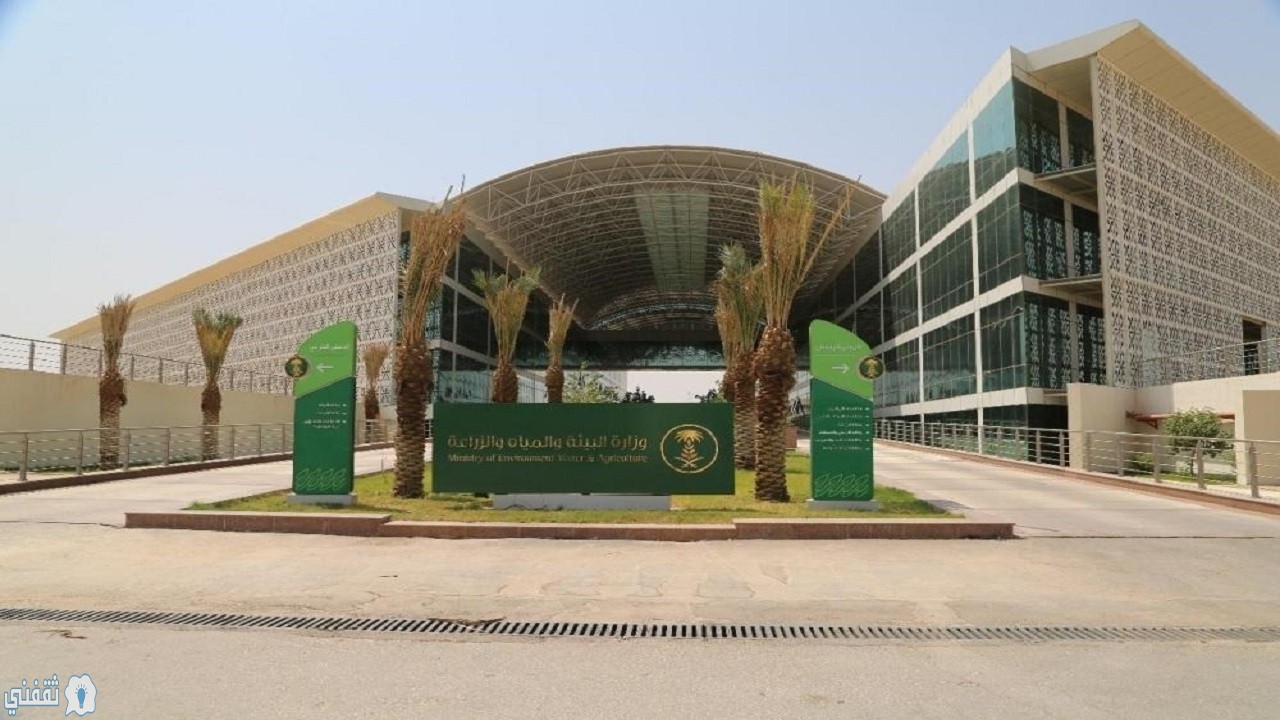 رابط التقديم لوظائف وزارة البيئة بالمملكة العربية السعودية