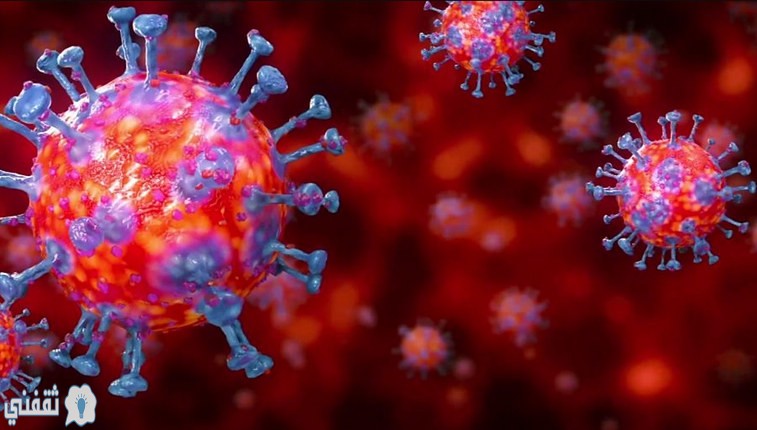 كيف يهاجم الفيروس جسم الإنسان وخصوصًا أصحاب المناعة الضعيفة