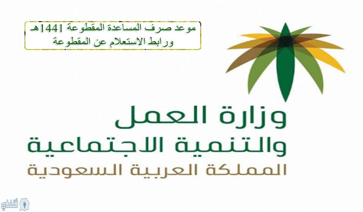 وزارة العمل والتنمية الاجتماعية