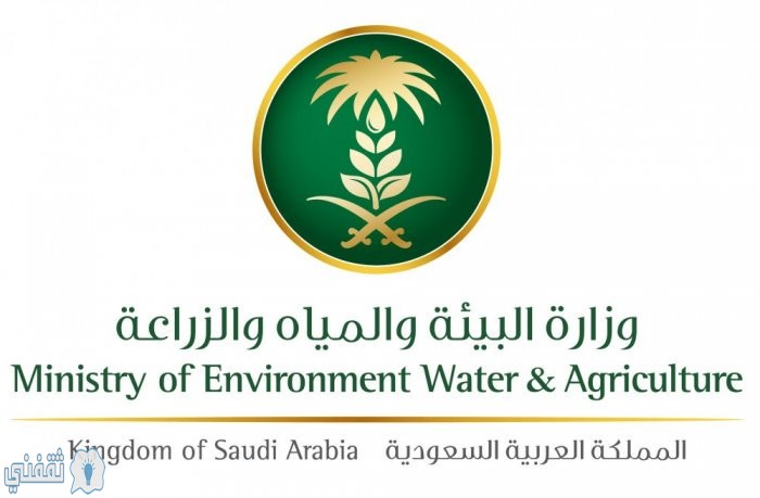 دفع فاتورة المياه من خلال موقع وزارة البيئة والمياه