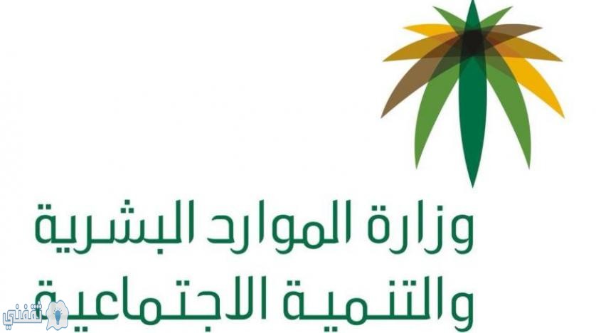 رابط مبالغ إعانة التأهيل الشامل بالمملكة