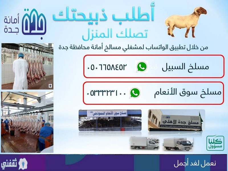 أمانة جدة تطلق خدمة توصيل الذبائح إلى المنازل