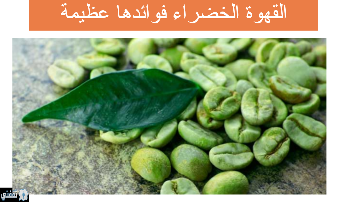 فوائد القهوة الخضراء