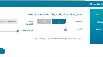 قرض الضمان الاجتماعي طريقة الحصول على قروض بنك التنمية الاجتماعية