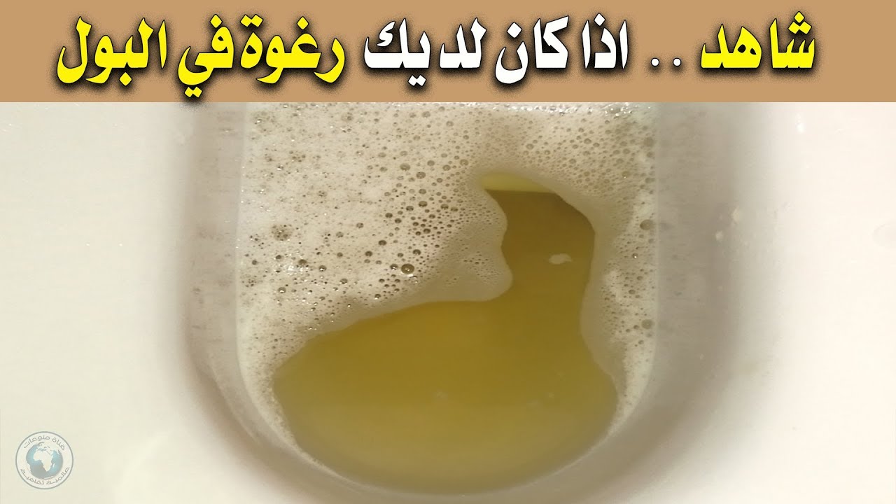 احذر من رغوة البول متى تكون طبيعية ومتى تكون خطيرة؟ تعرف على أسباب رغوة البول وحرقانه وتثقيفه