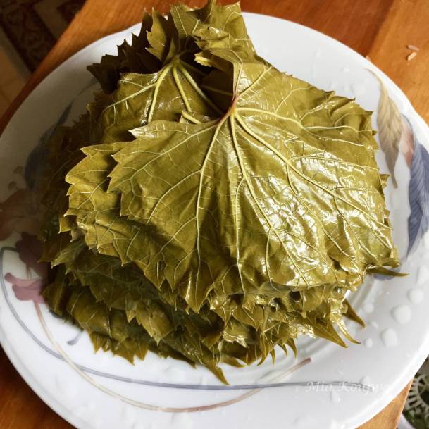 تخزين ورق العنب