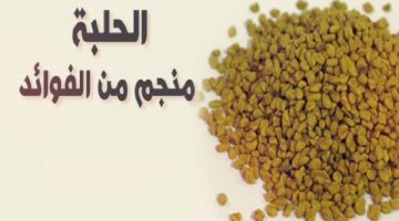 فوائد الحلبة على الريق