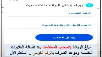 رابط مباشر.. بالرقم التأميني والقومي كيفية استخراج قيمة العلاوات الخمسة لأصحاب الرواتب nosi.eg