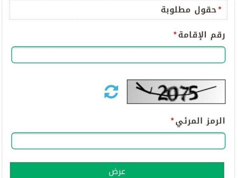 الاستعلام عن صلاحية الاقامة