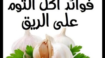 فوائد الثوم