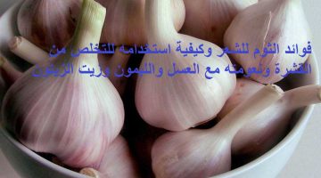 فوائد الثوم للشعر