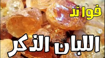 أضرار لبان الذكر