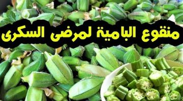 فوائد مياه الباميا