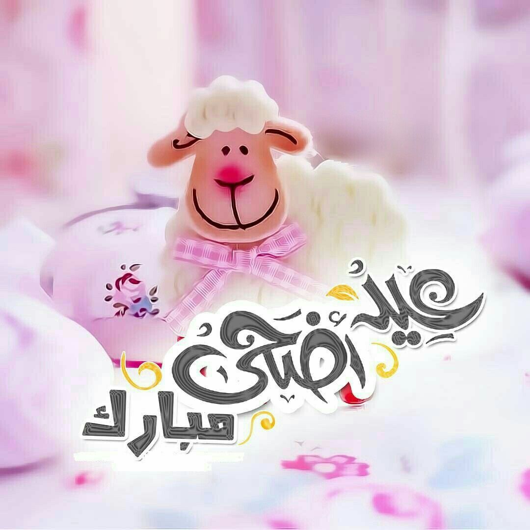 حالات واتساب عيد الاضحى 1441