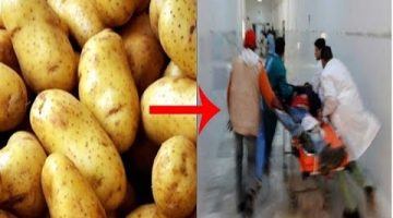 اضرار البطاطس المصابة بالعفن