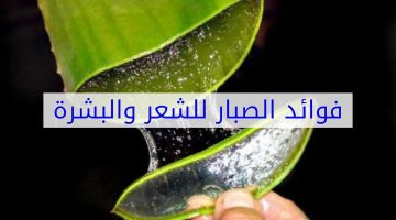 فوائد الصبار