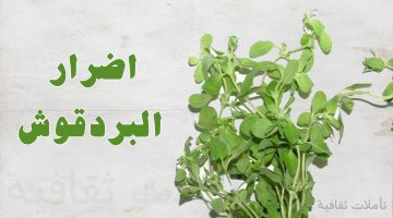 اضرار البردقوش