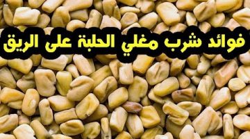 الحلبة على الريق