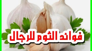 فوائد الثوم