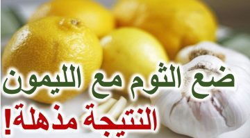 فوائد الثوم