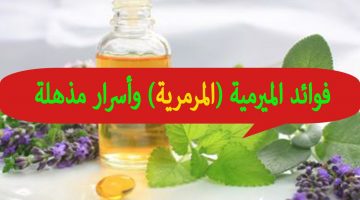 فوائد الميرمية