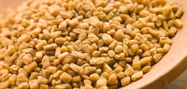 فوائد الحلبة للرحم والمبيض وأهم فوائد الحلبة العلاجية تربوية