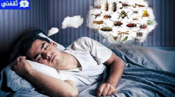 تفسير رؤية الحشرات في الحلم