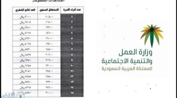 المساعدة الضمان الاجتماعي