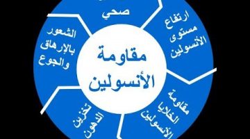 هرمون الانسولين محفزات إفرازه ووظيفته