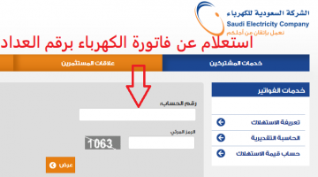 استعلام عن فاتورة الكهرباء