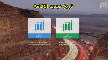 الاستعلام عن صلاحية الإقامة