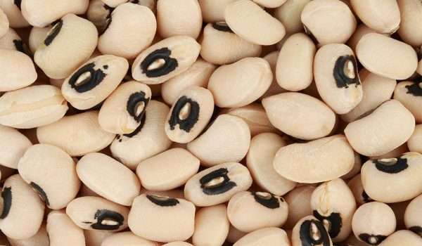 فوائد تناول اللوبيا